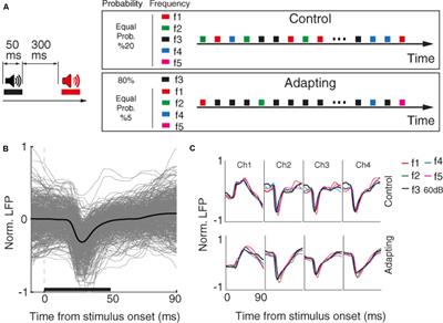 Adaptation Modulates Spike-Phase Coupling Tuning Curve in the Rat Primary Auditory Cortex